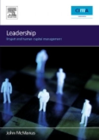 Leadership: Project and Human Capital Management