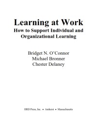 Learning at Work How to Support Individual and Organizational Learning