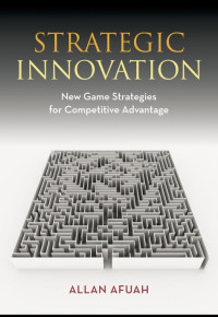 Strategic Innovation : New Game Strategies for Competitive Advantage