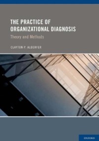 The practice of organizational diagnosis : theory and methods
