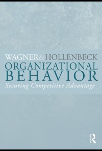 Organizational behavior : securing competitive advantage